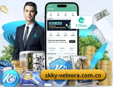 球速体育 APP